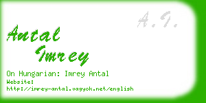 antal imrey business card